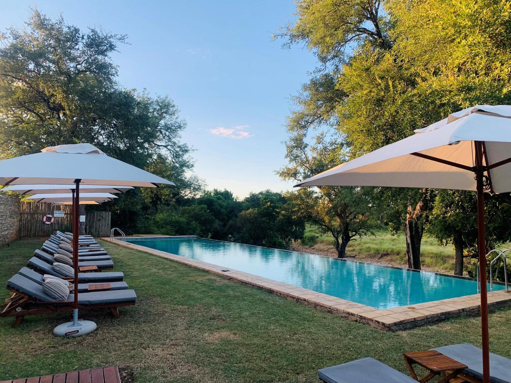 Karongwe Portfolio - Becks Safari Lodge Karongwe Game Reserve Extérieur photo