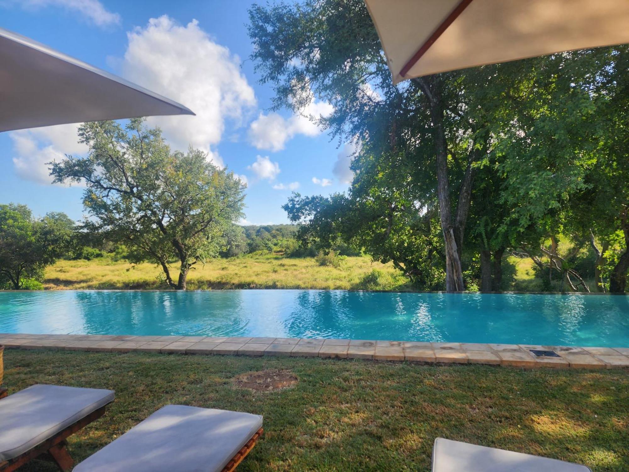 Karongwe Portfolio - Becks Safari Lodge Karongwe Game Reserve Extérieur photo