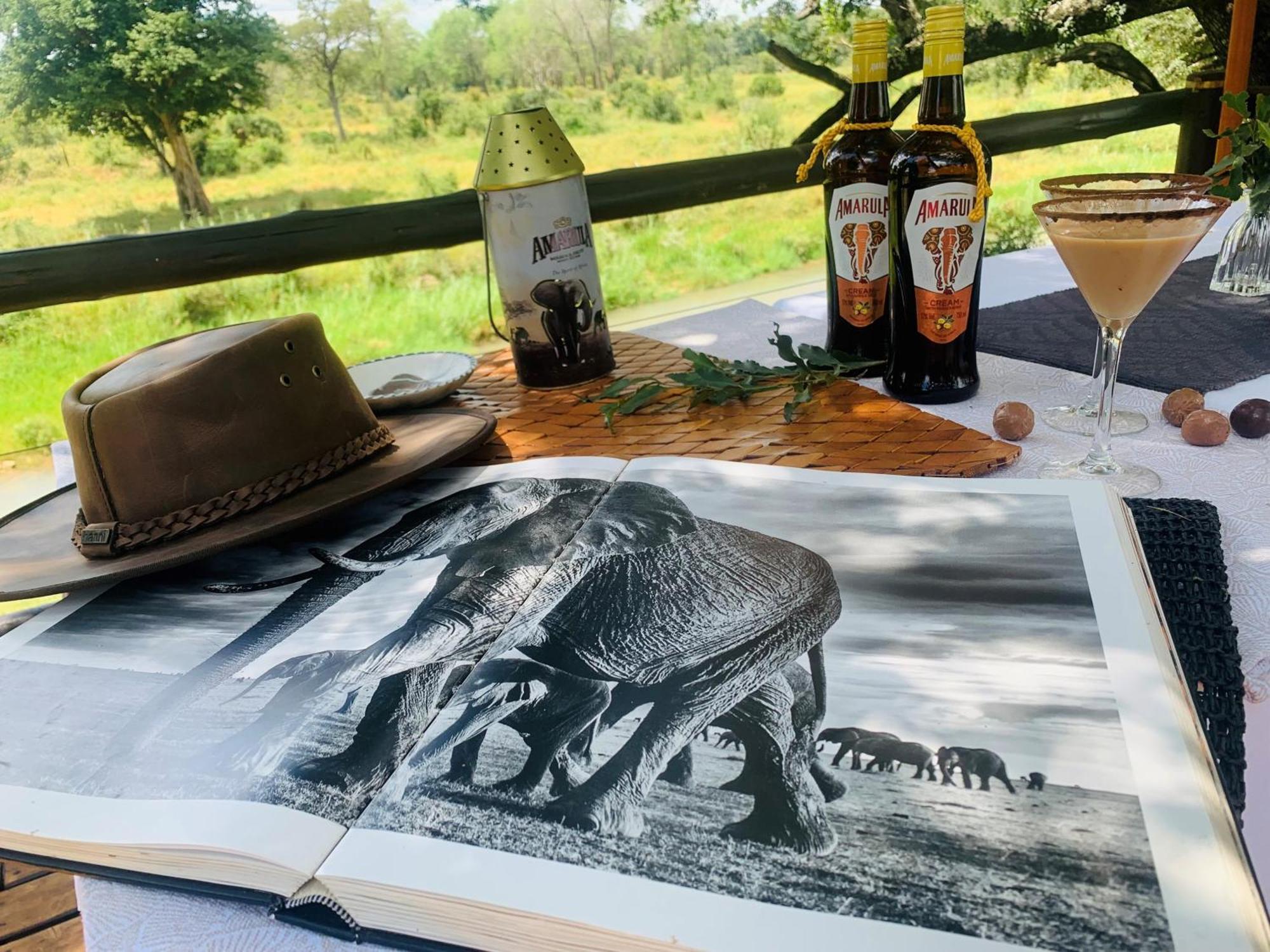 Karongwe Portfolio - Becks Safari Lodge Karongwe Game Reserve Extérieur photo