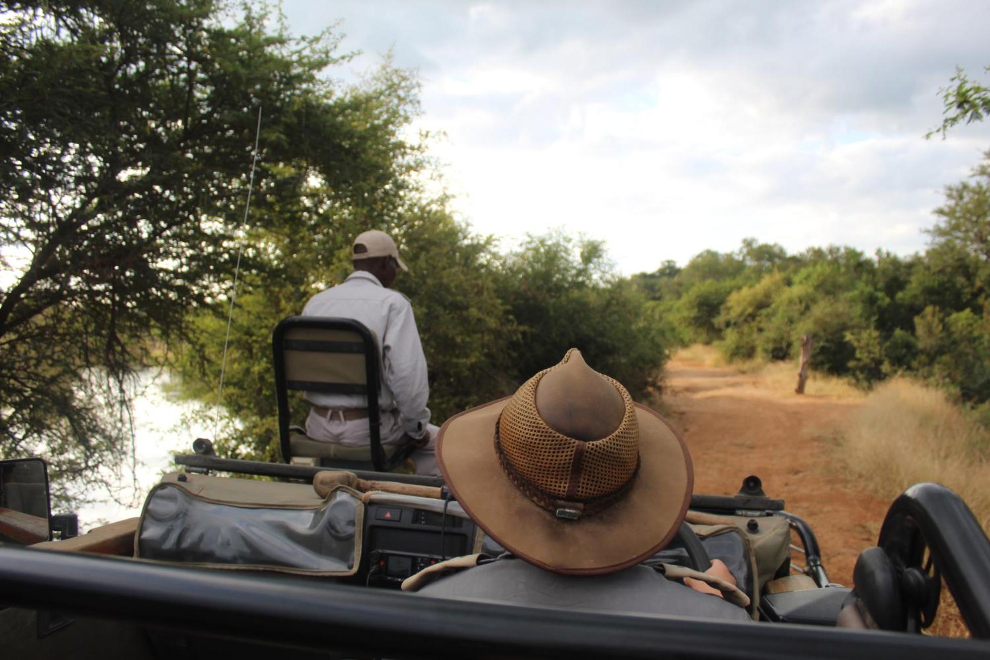 Karongwe Portfolio - Becks Safari Lodge Karongwe Game Reserve Extérieur photo